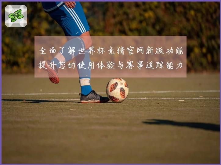 全面了解世界杯竞猜官网新版功能提升您的使用体验与赛事追踪能力