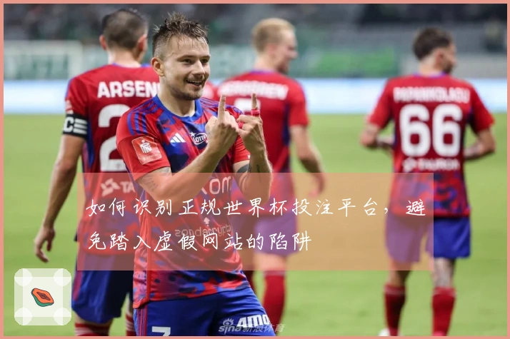 如何识别正规世界杯投注平台,避免踏入虚假网站的陷阱