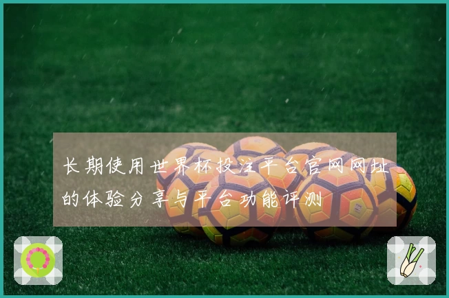 长期使用世界杯投注平台官网网址的体验分享与平台功能评测