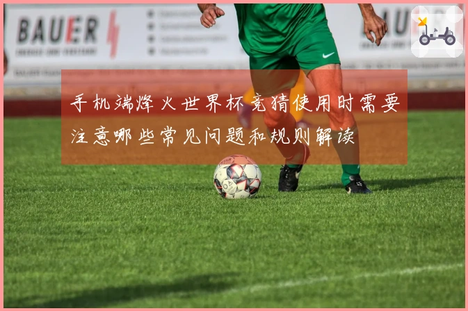 手机端烽火世界杯竞猜使用时需要注意哪些常见问题和规则解读