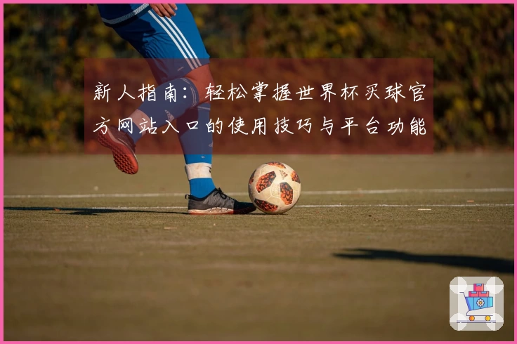 新人指南：轻松掌握世界杯买球官方网站入口的使用技巧与平台功能介绍