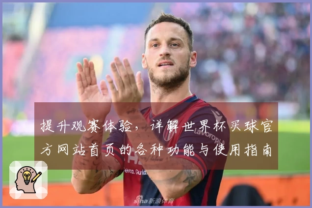 提升观赛体验，详解世界杯买球官方网站首页的各种功能与使用指南