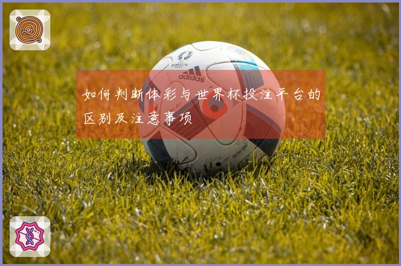 如何判断体彩与世界杯投注平台的区别及注意事项