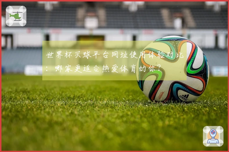 世界杯买球平台网址使用体验对比：哪家更适合热爱体育的你？