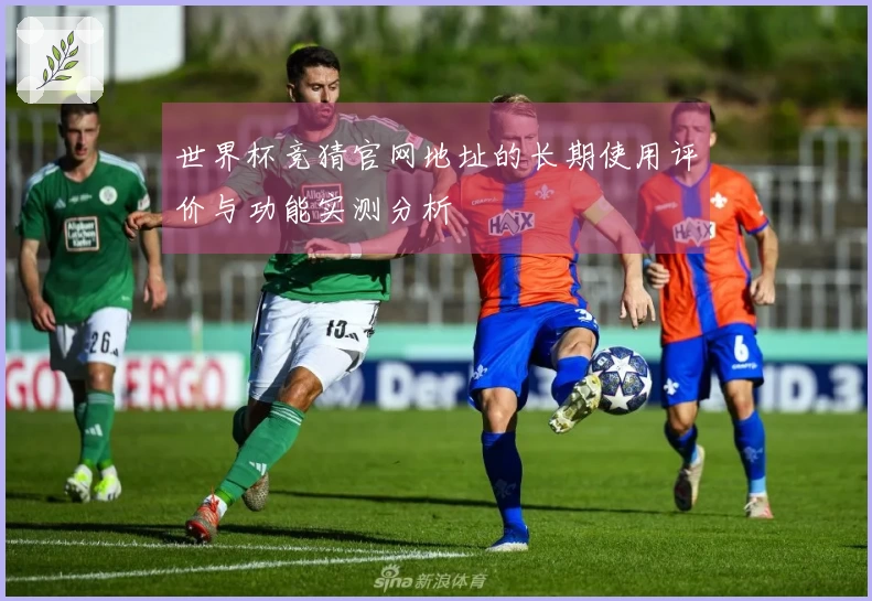 世界杯竞猜官网地址的长期使用评价与功能实测分析