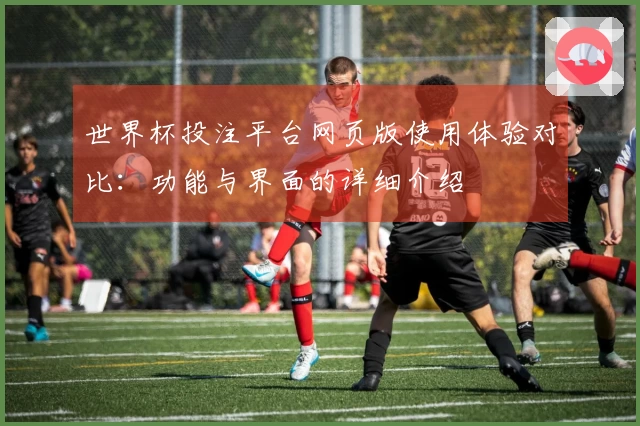 世界杯投注平台网页版使用体验对比：功能与界面的详细介绍